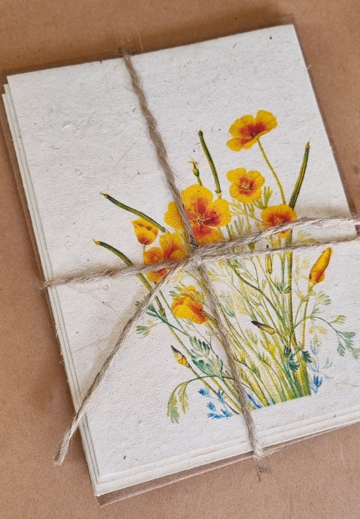 Wildflower Plantable Gift Cards