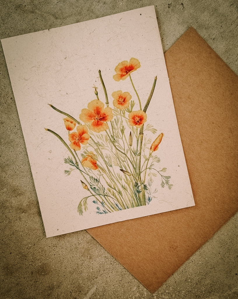 Wildflower Plantable Gift Cards