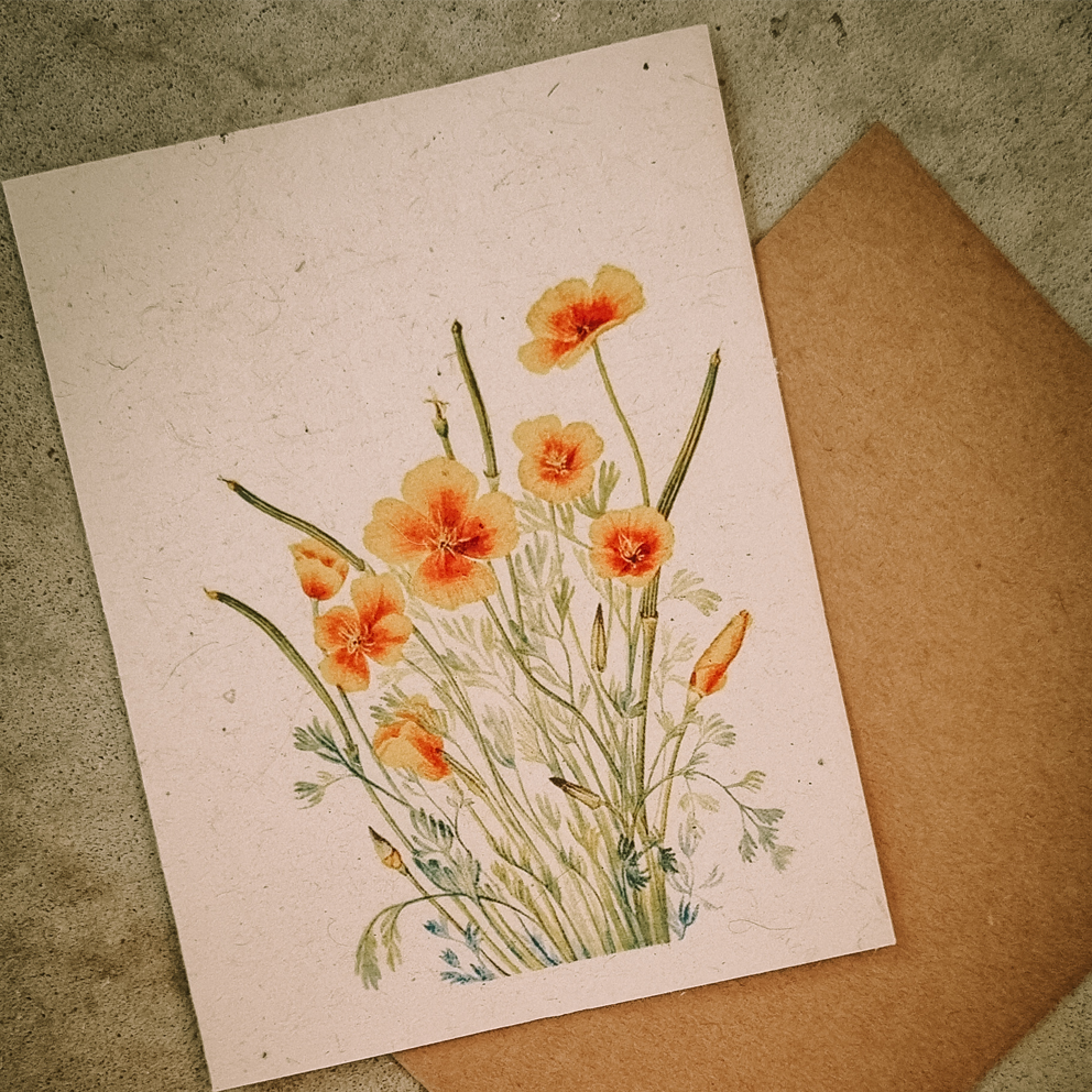 Wildflower Plantable Gift Cards
