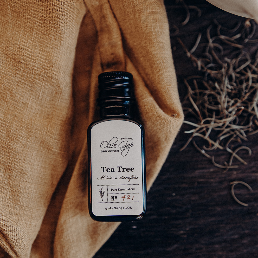 Tea Tree Essential Oil | Olive Gap Organic Farm